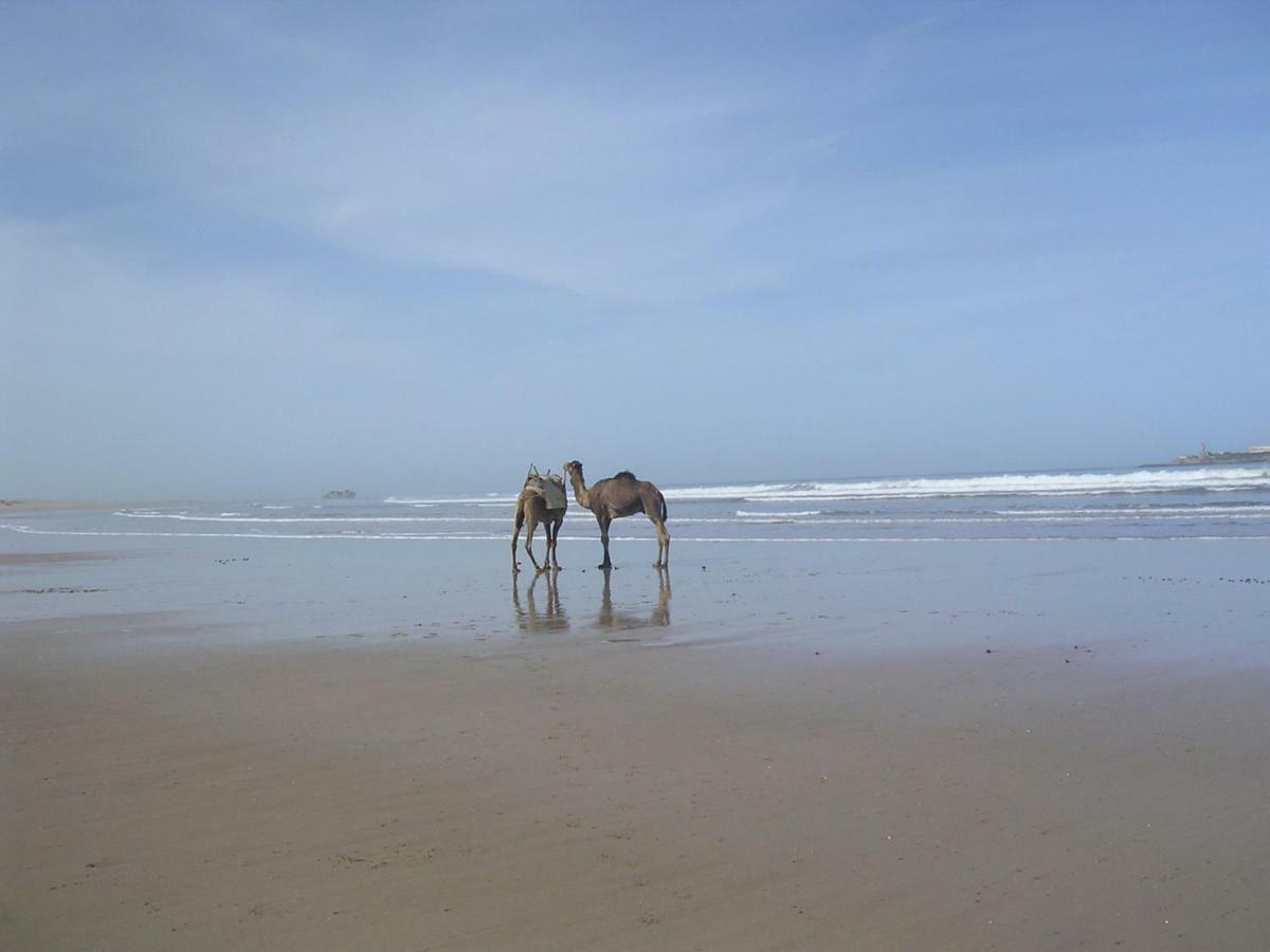 Stunning Loft With Pools Near The Beach Essaouira Eksteriør billede